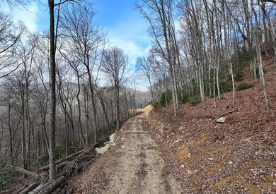 Lot 20 Walnut Cove Branch, Robbinsville, NC 28771 - photo 4