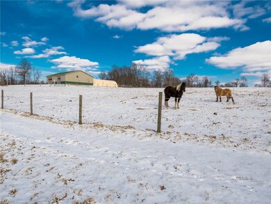 6351 Grove Rd, New Franklin, OH 44216 - photo 6