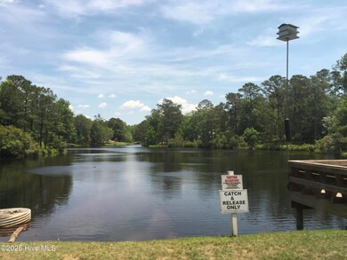 2953 Island Dr SE, Bolivia, NC 28422 - photo 5