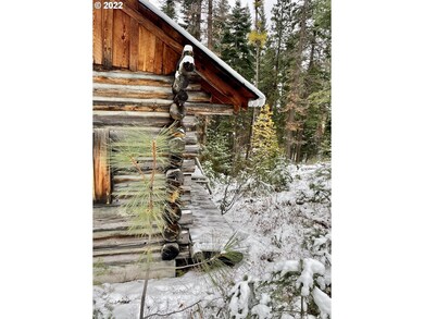 unlisted-address, Johnday, OR 97845 - photo 4