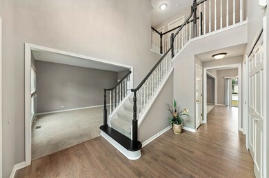 4020 Falcon Dr unit 1, Naperville, IL 60564 - photo 3