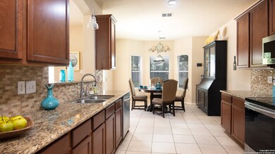 10723 Alyssum Field, Helotes, TX 78023 - photo 7