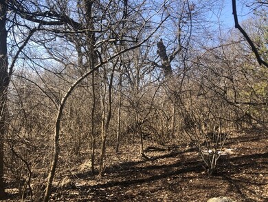 957 Watercress Dr, Naperville, IL 60540 - photo 4