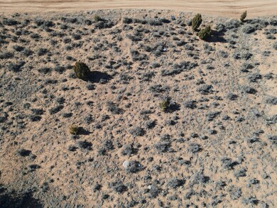 Photo_6553655_DJI_55_jpg_8794929_0_20221