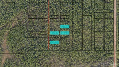 0 N 11th Ave, Avalon, FL 32583 - photo 4