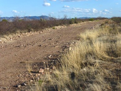 05 Looking s down S Desert Willow