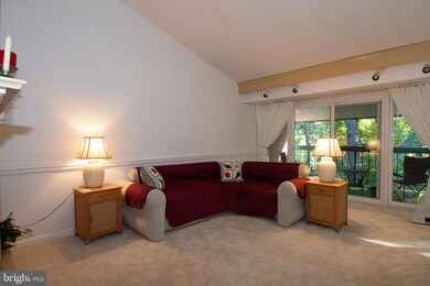 11813 Breton Ct unit 22D, Reston, VA 20191 - photo 3