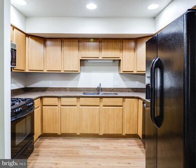 131 N Park Dr, Salisbury, MD 21804 - photo 7