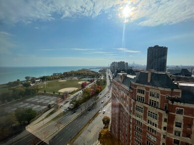 3900 N Lake Shore Dr unit 25C, Chicago, IL 60613 - photo 4