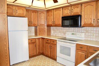 1170 Bayshore Dr SW unit 68, Byron Center, MI 49315 - photo 5