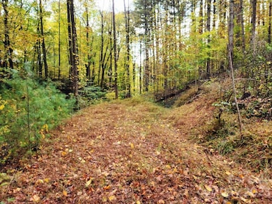 Access road near edge of lot