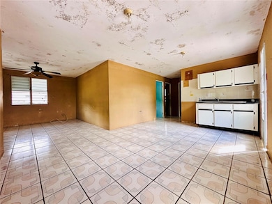 Carr 159 Sostre, Corozal, PR 00783 - photo 6