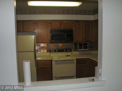 3041 Piano Ln, Silver Spring, MD 20904 - photo 4