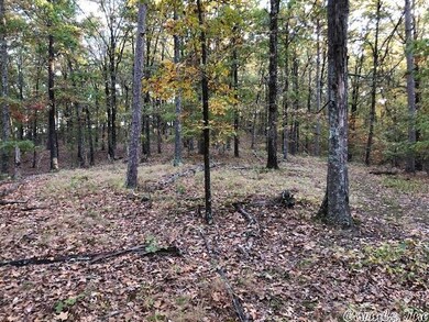 614 Cr 765, Brookland, AR 72417 - photo 7