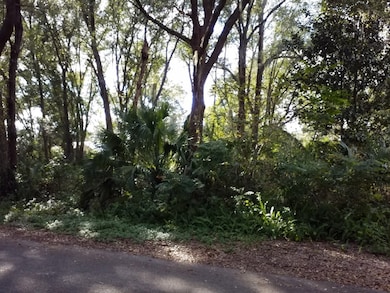 3 NE 5th St, Chiefland, FL 32626 - photo 3