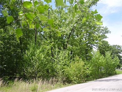 26 Silver Spur Ct, Camdenton, MO 65020 - photo 3