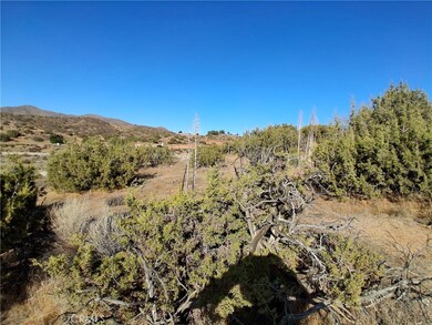 0 Wisconsin unit SR25089924, Acton, CA 93510 - photo 3