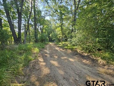 223 An County Road 4250, Palestine, TX 75803 - photo 2