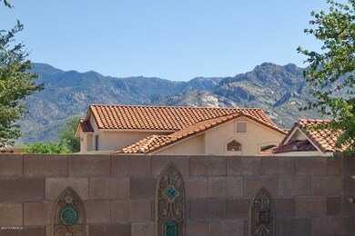 Rear Yard