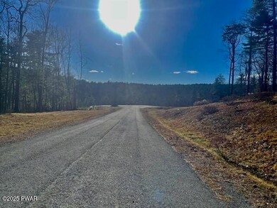 122 Skyview Ln, Dingman Township, PA 18337 - photo 6