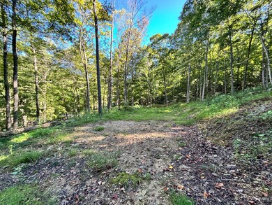 0 Coon Hollow Rd, Lucasville, OH 45648 - photo 5