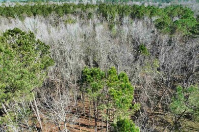 2894 SW Overstreet Ave, Greenville, FL 32331 - photo 3