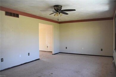 253 Stadium Rd, Smithfield, OH 43948 - photo 6