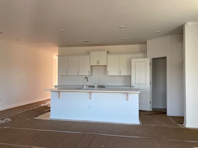 146 River Birch Dr, Loris, SC 29569 - photo 3