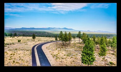 Edited Drone Image 1