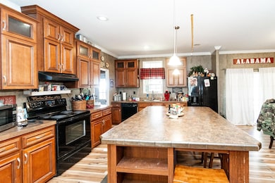 1120 Salters Mill Rd, Plains, GA 31780 - photo 7