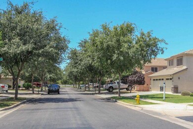 Tree Lined Street View