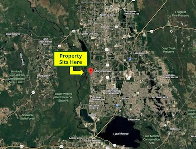 0 Magnolia Ave unit 25491912, Orange City, FL 32763 - photo 4