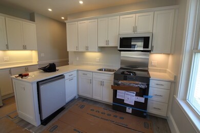 33 Grove St unit 3, Belmont, MA 02478 - photo 4