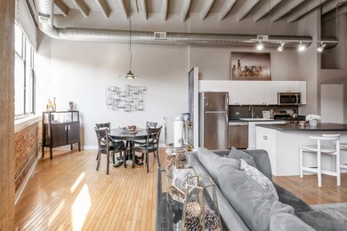 Tower Lofts unit 208, Chicago, IL 60657 - photo 6