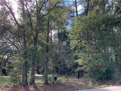 View of left property line from Hwy 1085.