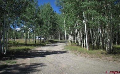 200 Hazel Lake Dr, Cimarron, CO 81220 - photo 7