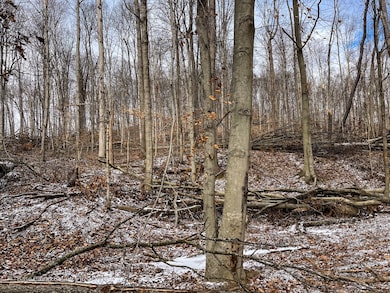 TBD Starr Rd, Jefferson Township, IN 47108 - photo 6