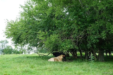 1105 Rittenour Rd, Grady, AL 36064 - photo 5