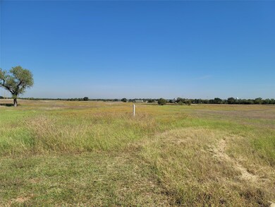 TBD County Rd 4576, Boyd, TX 76023 - photo 3
