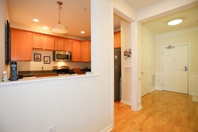 Wellington Crossing unit 311, Waltham, MA 02452 - photo 4