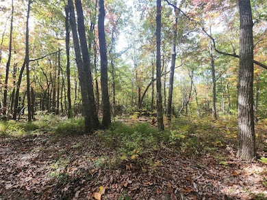 999999 N Pointe Dr unit 1, Zirconia, NC 28790 - photo 3