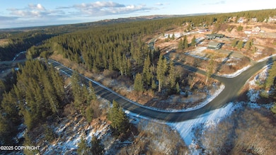 Drone Photo