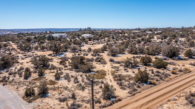 XYZ Jack Rabbit Jct, Farmington, NM 87402 - photo 2