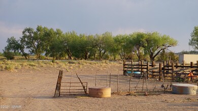 DSC06158