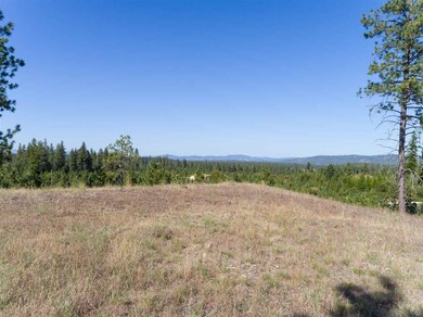 28107 N Perry Rd, Chattaroy, WA 99003 - photo 3