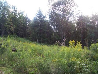 Yard/Garden