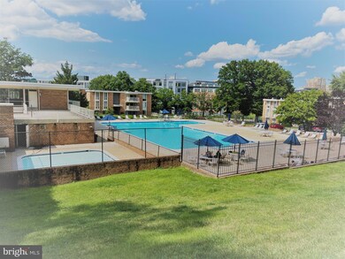 2630 Fort Farnsworth Rd unit 3B, Alexandria, VA 22303 - photo 6