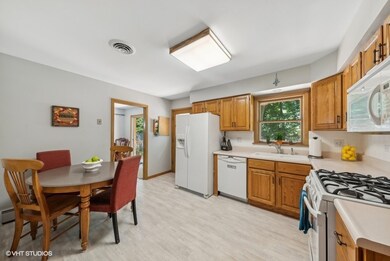 262 E Forest Ln, Palatine, IL 60067 - photo 7