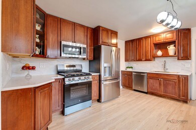 1689 S Elm St, Des Plaines, IL 60018 - photo 6