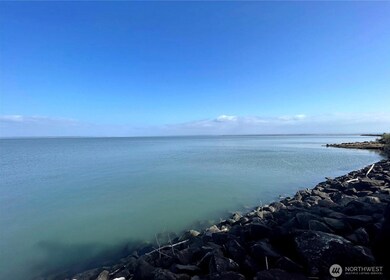 254 Olympic View Ave NE, Ocean Shores, WA 98569 - photo 6